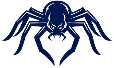Richmond Spiders 2002-Pres Alternate Logo v2 DIY iron on transfer (heat transfer)